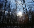 Joshofen Landschaft